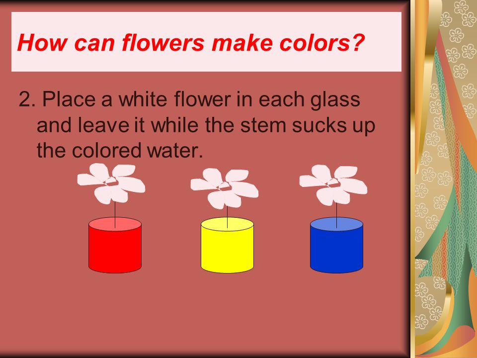 How can flowers make colors. 2.