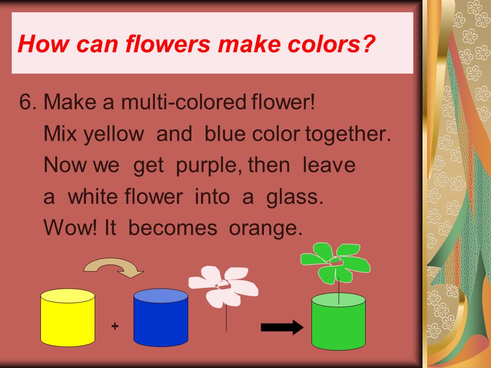 How can flowers make colors. 6. Make a multi-colored flower.