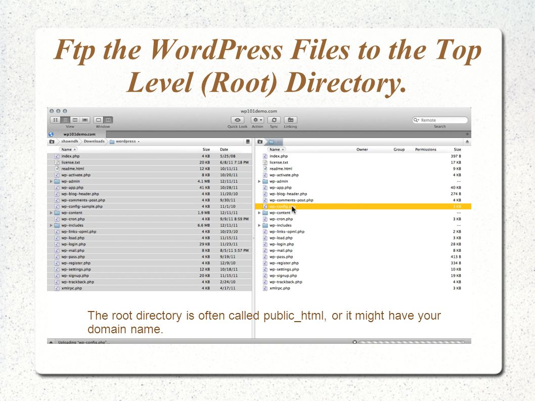 Ftp the WordPress Files to the Top Level (Root) Directory.