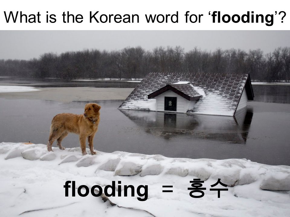 What is the Korean word for flooding flooding =