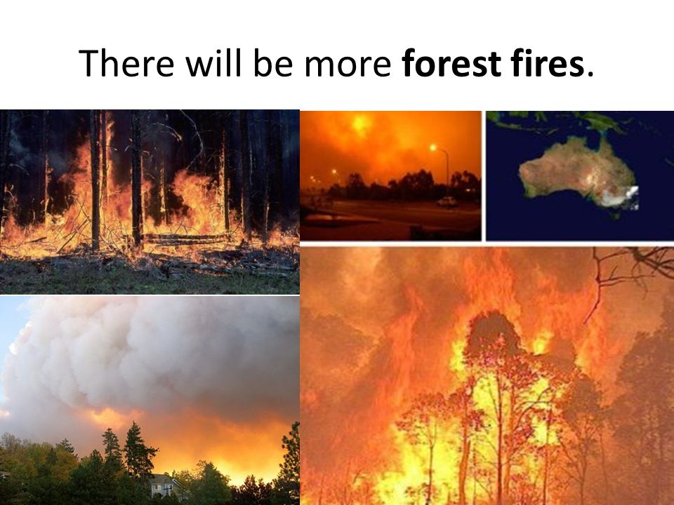 There will be more forest fires.