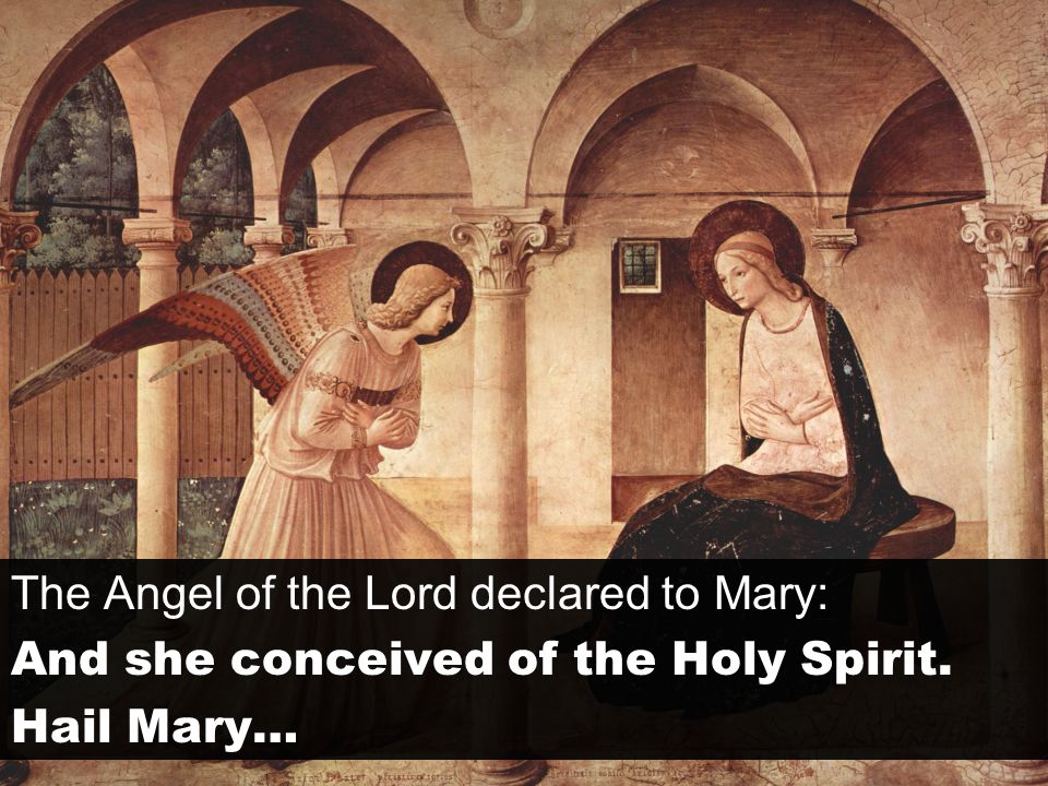The Angel of the Lord declared to Mary: And she conceived of the Holy Spirit. Hail Mary…