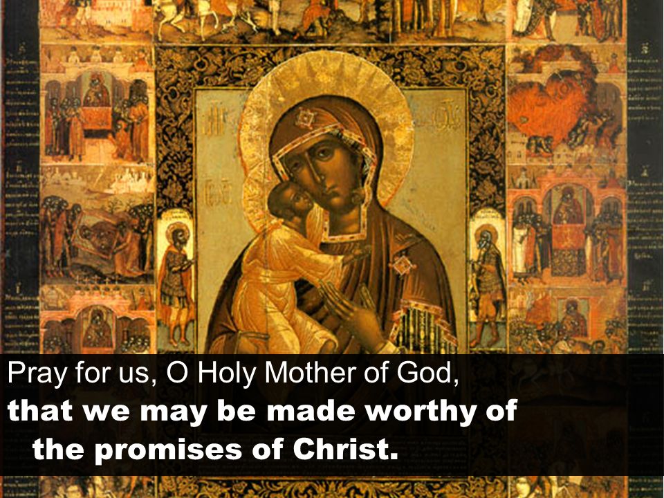 Pray for us, O Holy Mother of God, that we may be made worthy of the promises of Christ.