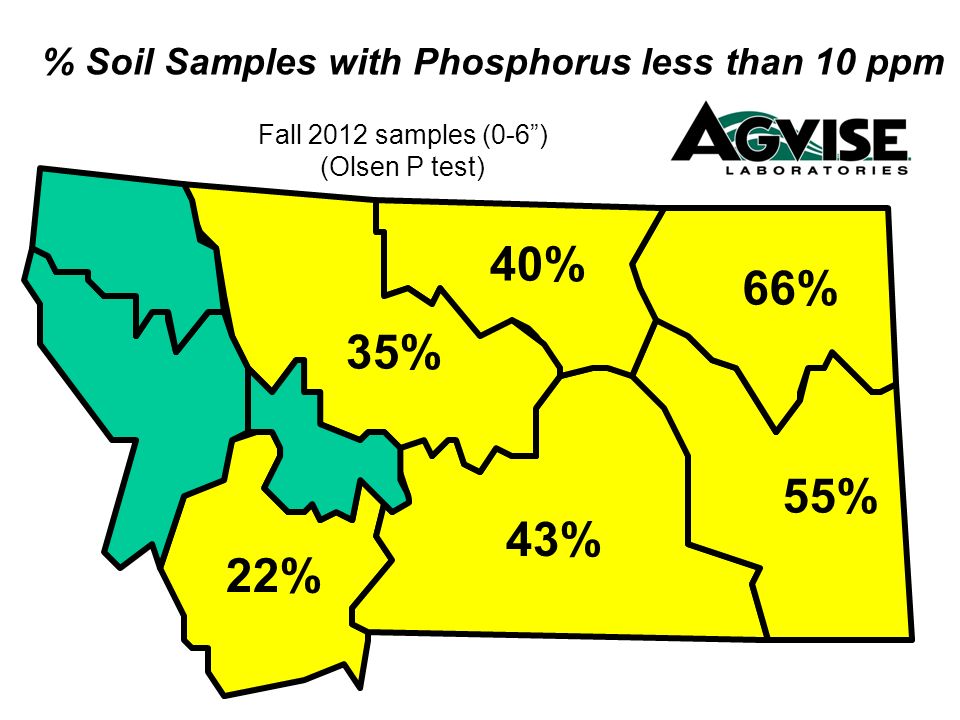 % Soil Samples with Phosphorus less than 10 ppm Fall 2012 samples (0-6) 66% 55% 35% 40% 43% (Olsen P test) 22%