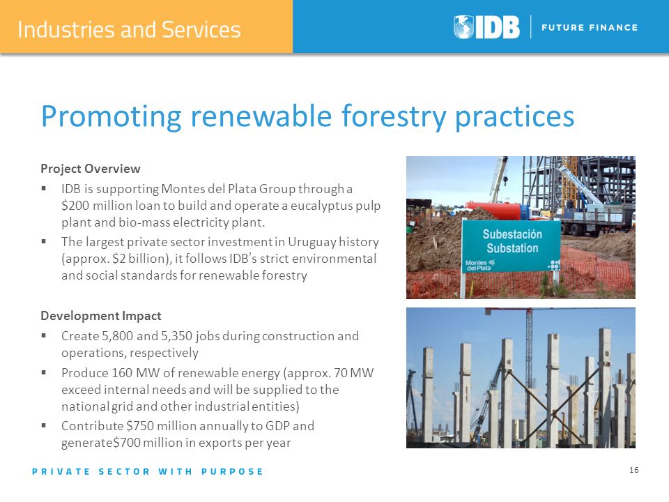 16 Promoting renewable forestry practices Project Overview IDB is supporting Montes del Plata Group through a $200 million loan to build and operate a eucalyptus pulp plant and bio-mass electricity plant.