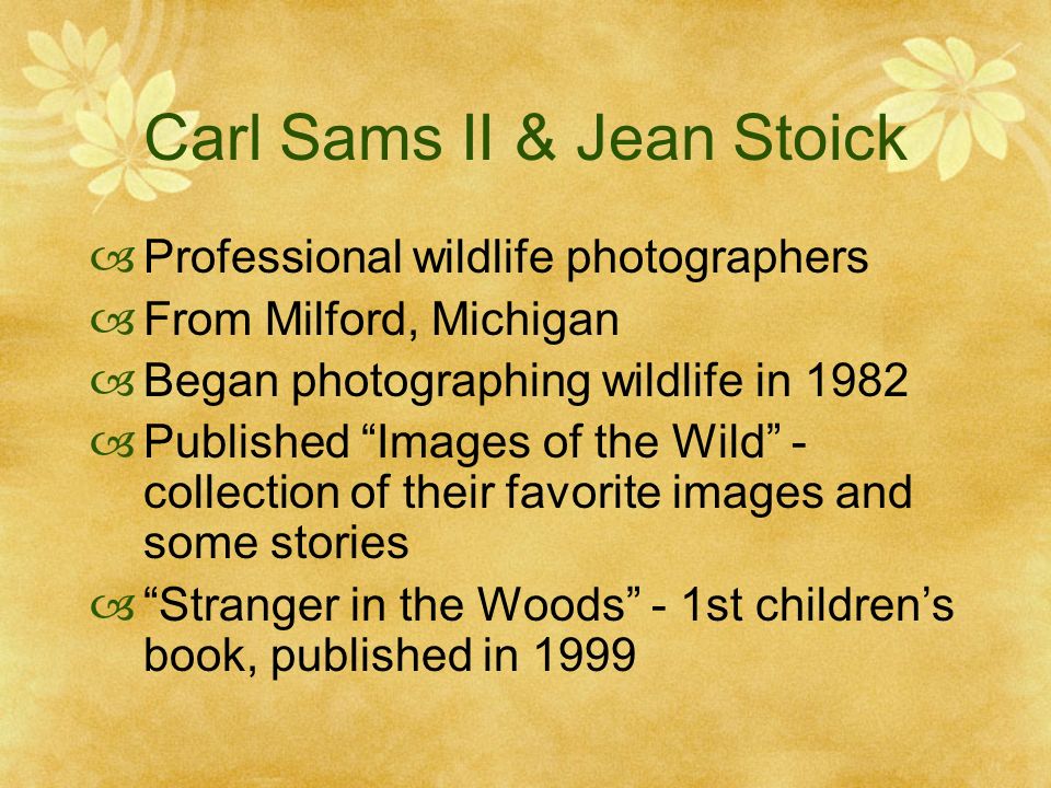 Carl Sams II & Jean Stoick Professional wildlife photographers From Milford, Michigan Began photographing wildlife in 1982 Published Images of the Wild - collection of their favorite images and some stories Stranger in the Woods - 1st childrens book, published in 1999