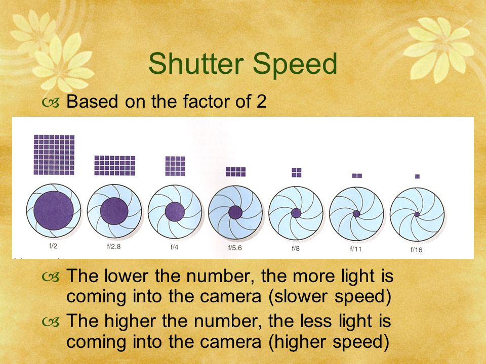 Shutter Speed Based on the factor of 2 The lower the number, the more light is coming into the camera (slower speed) The higher the number, the less light is coming into the camera (higher speed)