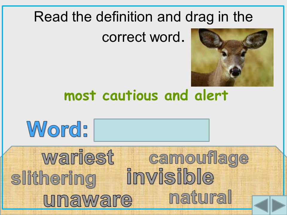 Read the definition and drag in the correct word. most cautious and alert