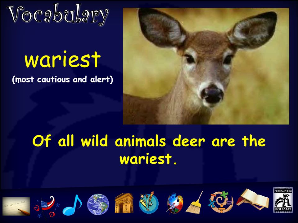 wariest (most cautious and alert) Of all wild animals deer are the wariest.