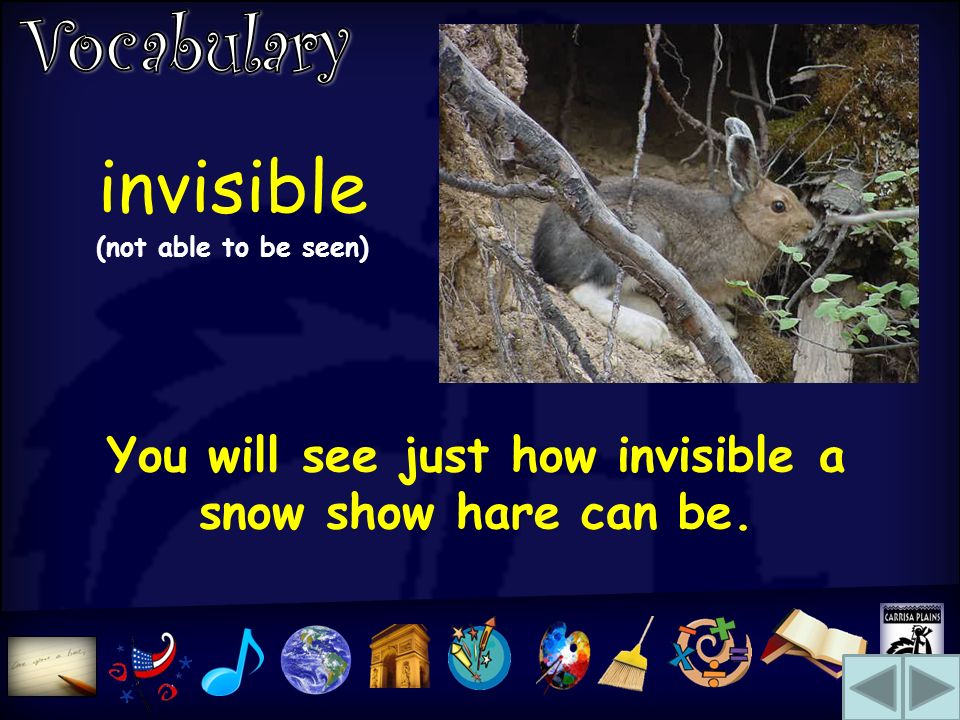 invisible (not able to be seen) You will see just how invisible a snow show hare can be.