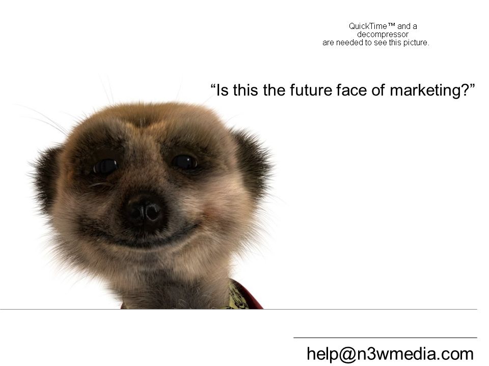 Compare the Meerkat 1 Is this the future face of marketing