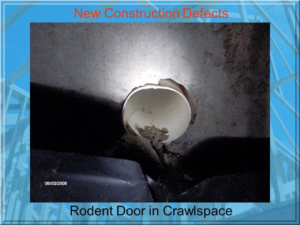 Rodent Door in Crawlspace New Construction Defects