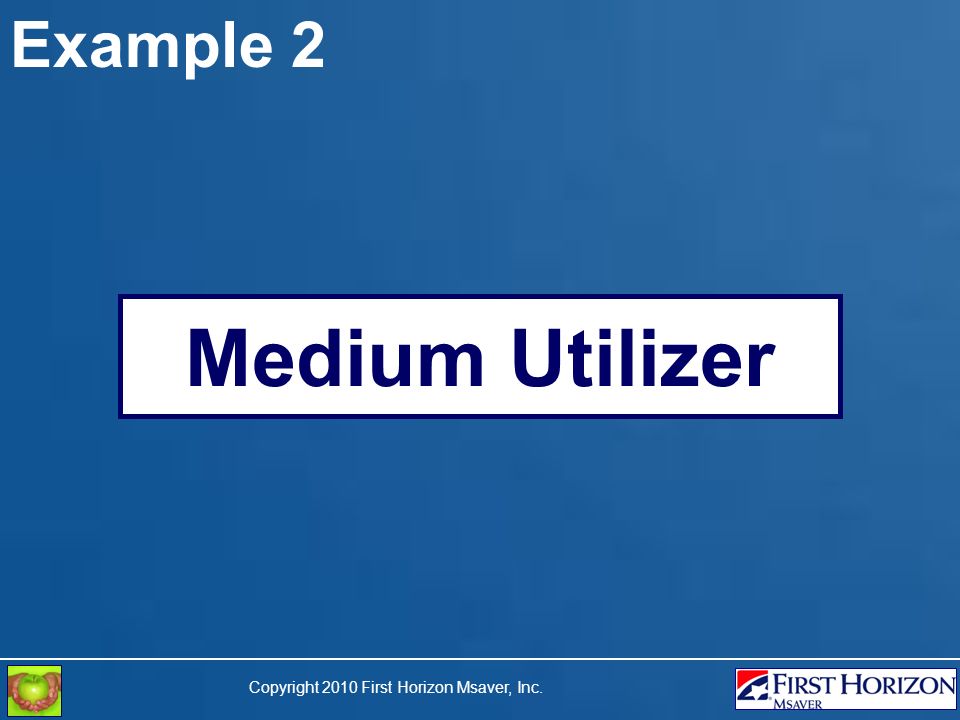 Copyright 2010 First Horizon Msaver, Inc. Example 2 Medium Utilizer