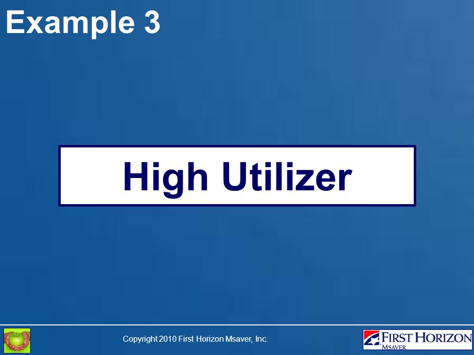 Copyright 2010 First Horizon Msaver, Inc. Example 3 High Utilizer
