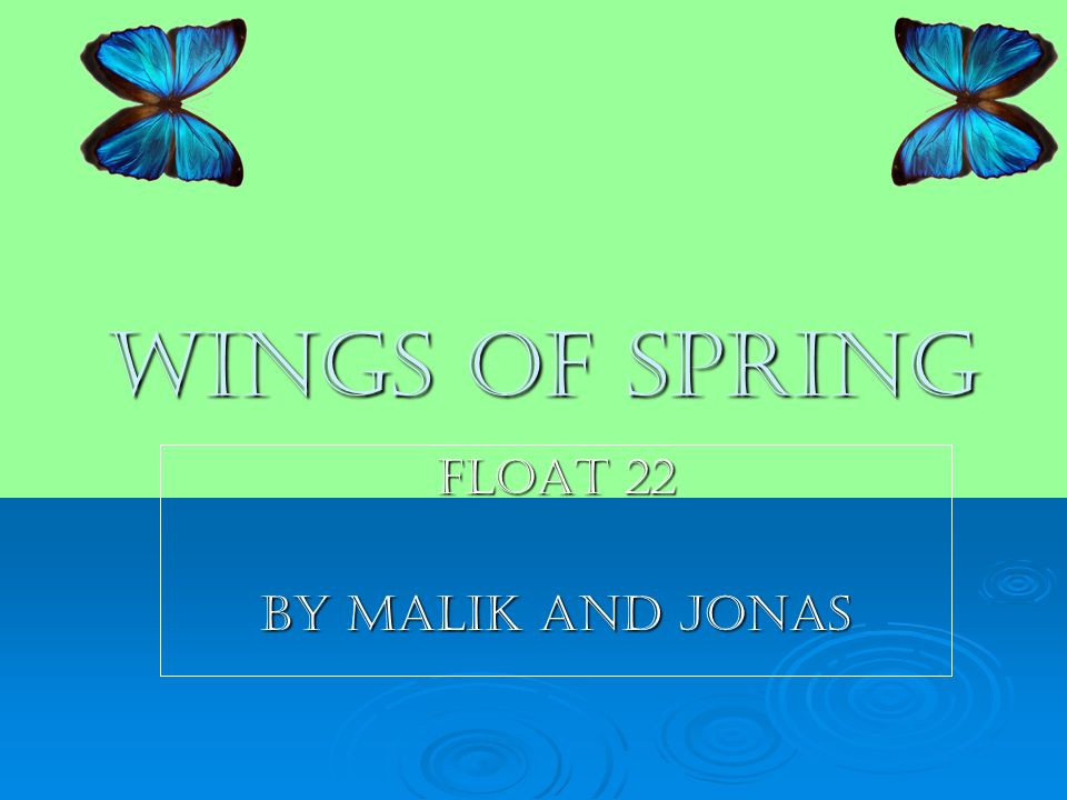 Wings of spring Float 22 By malik and jonas