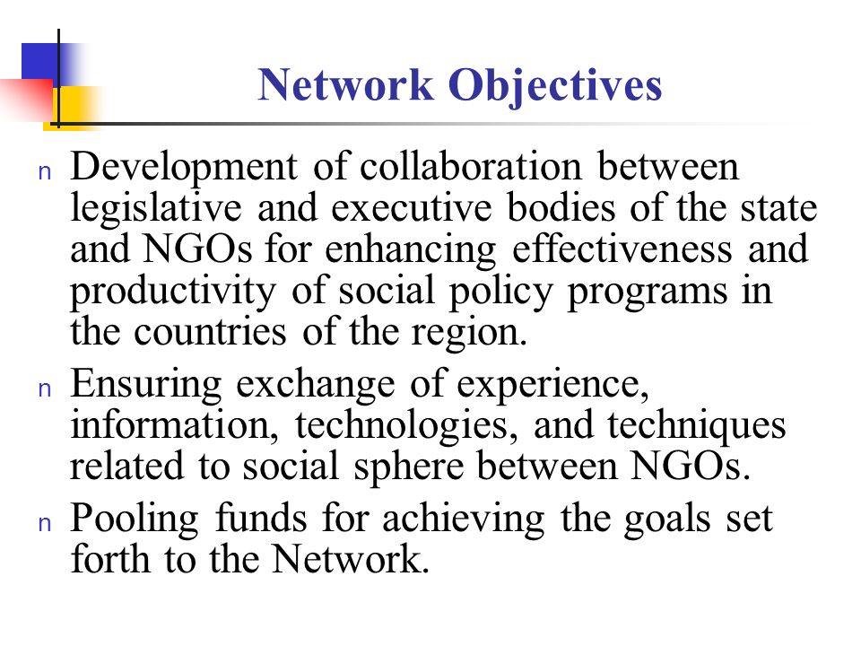 Network Objectives n Development of collaboration between legislative and executive bodies of the state and NGOs for enhancing effectiveness and productivity of social policy programs in the countries of the region.