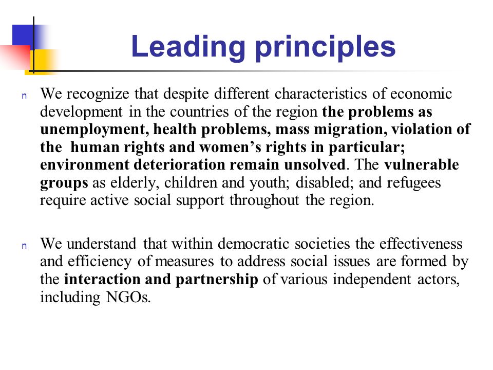 Leading principles n We recognize that despite different characteristics of economic development in the countries of the region the problems as unemployment, health problems, mass migration, violation of the human rights and womens rights in particular; environment deterioration remain unsolved.