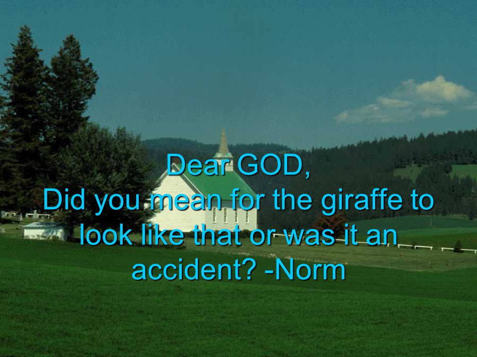 Dear GOD, Did you mean for the giraffe to look like that or was it an accident -Norm