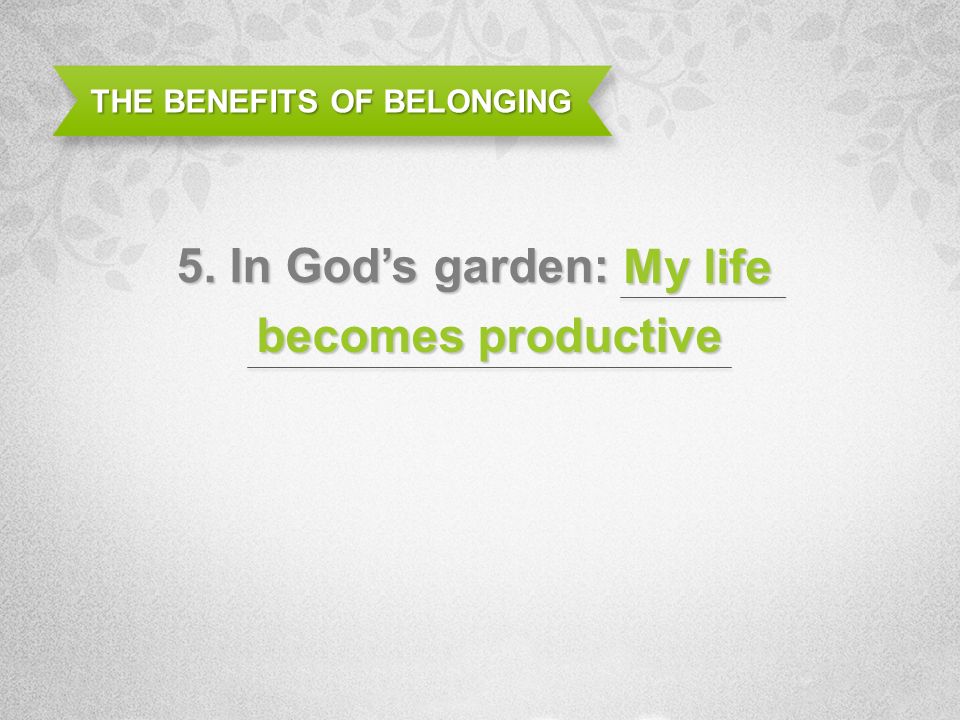 THE BENEFITS OF BELONGING 5. In Gods garden: My life becomes productive