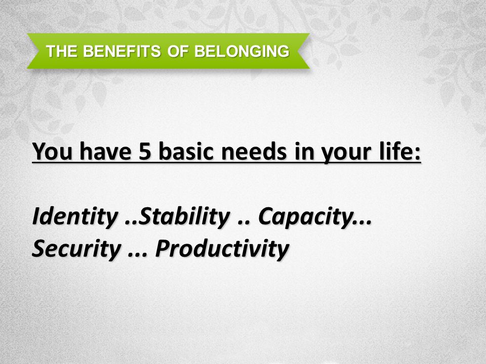 THE BENEFITS OF BELONGING You have 5 basic needs in your life: Identity..Stability..