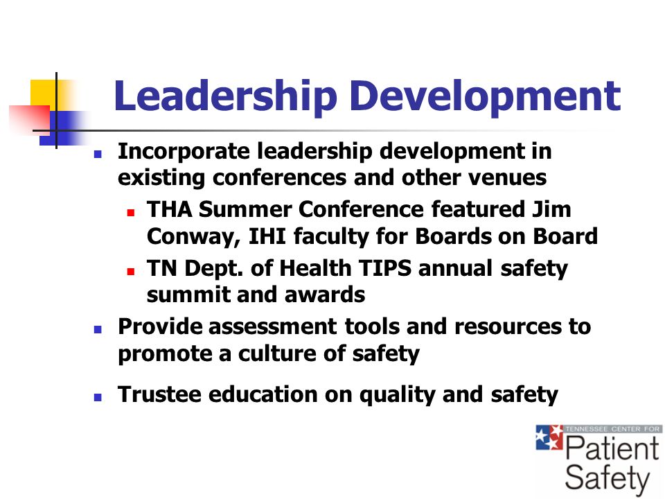 Leadership Development Incorporate leadership development in existing conferences and other venues THA Summer Conference featured Jim Conway, IHI faculty for Boards on Board TN Dept.