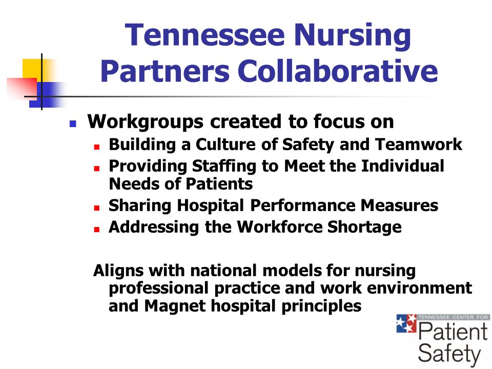 Tennessee Nursing Partners Collaborative Workgroups created to focus on Building a Culture of Safety and Teamwork Providing Staffing to Meet the Individual Needs of Patients Sharing Hospital Performance Measures Addressing the Workforce Shortage Aligns with national models for nursing professional practice and work environment and Magnet hospital principles