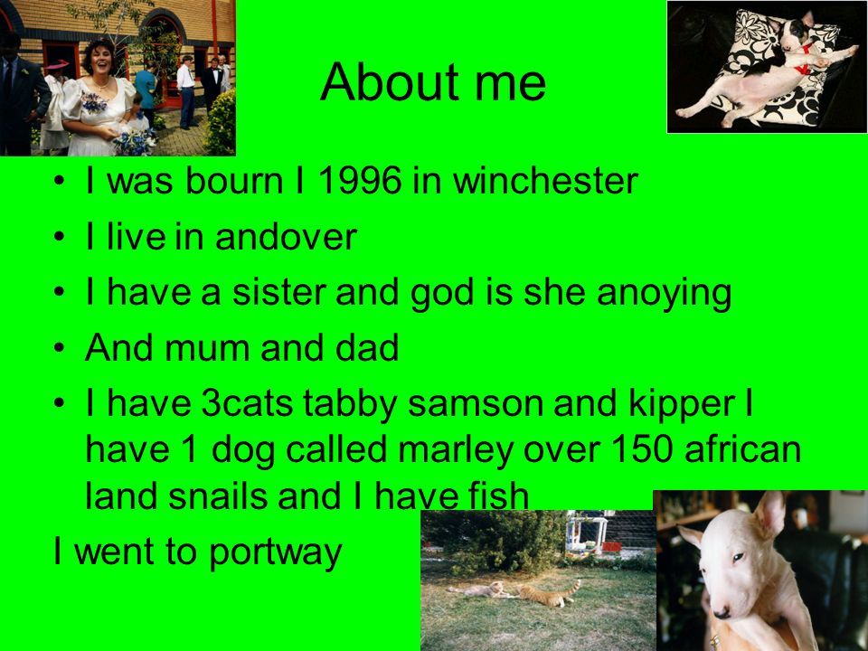 About me I was bourn I 1996 in winchester I live in andover I have a sister and god is she anoying And mum and dad I have 3cats tabby samson and kipper I have 1 dog called marley over 150 african land snails and I have fish I went to portway