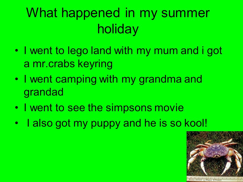 What happened in my summer holiday I went to lego land with my mum and i got a mr.crabs keyring I went camping with my grandma and grandad I went to see the simpsons movie I also got my puppy and he is so kool!