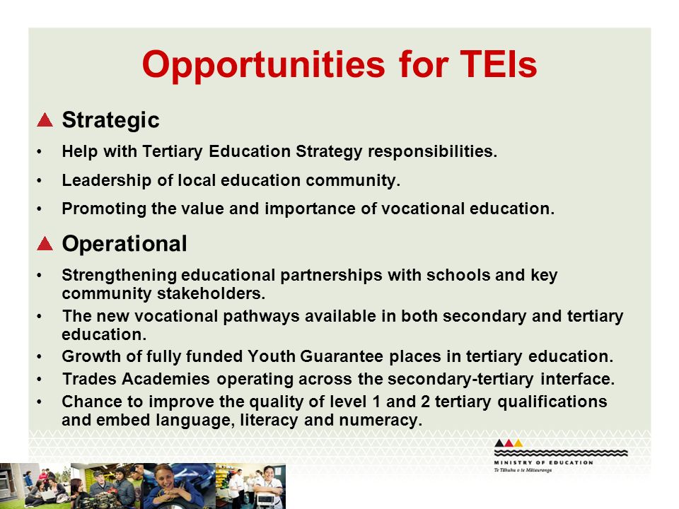 Opportunities for TEIs Strategic Help with Tertiary Education Strategy responsibilities.