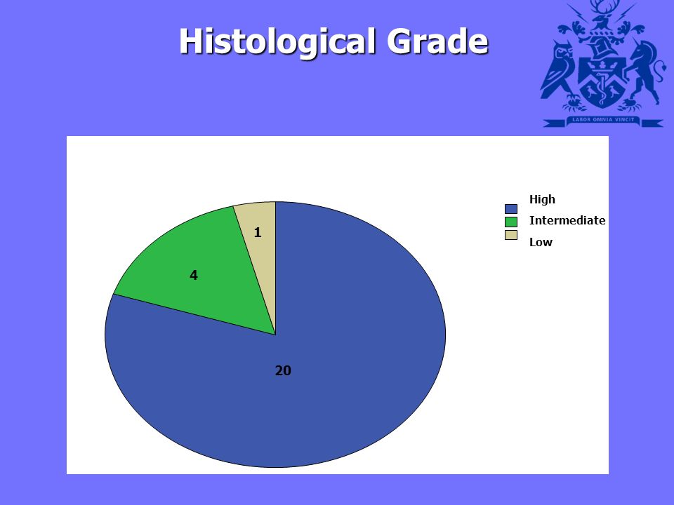 Histological Grade Histological Grade High 20 Intermediate 4 Low 1