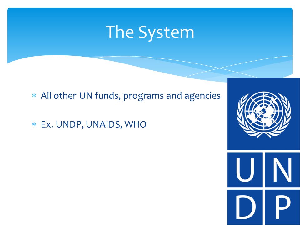 All other UN funds, programs and agencies Ex. UNDP, UNAIDS, WHO The System