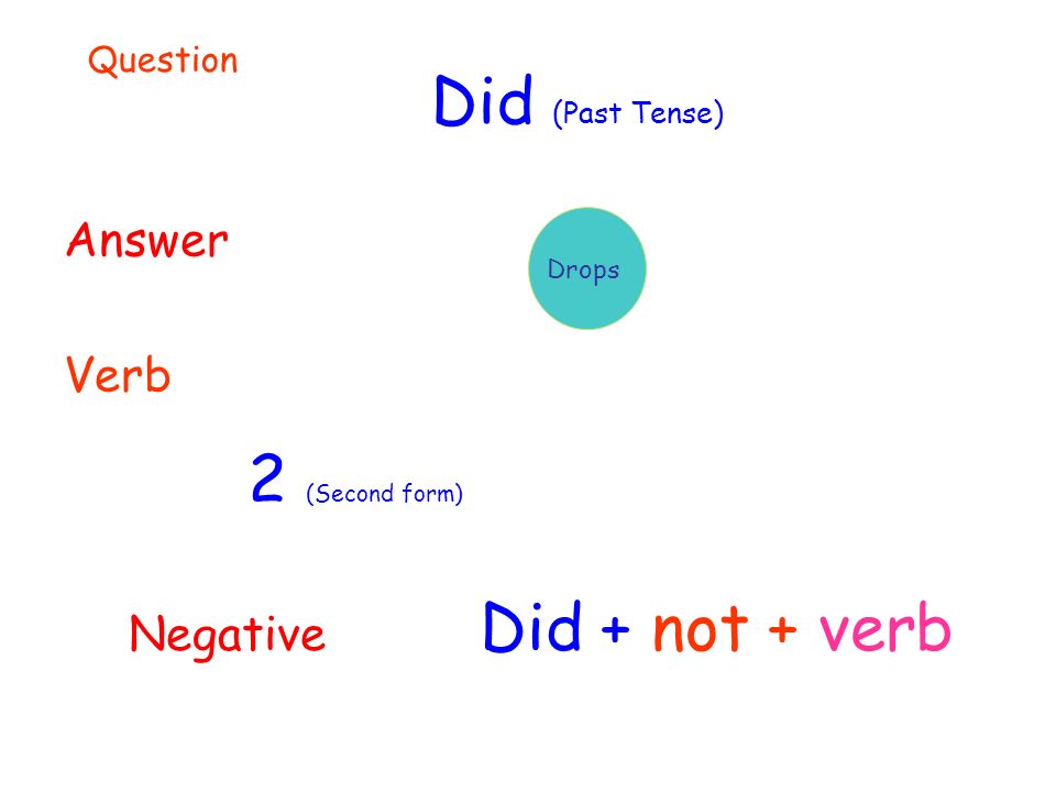 Did (Past Tense) Answer Verb 2 (Second form) Drops Question Negative Did + not + verb
