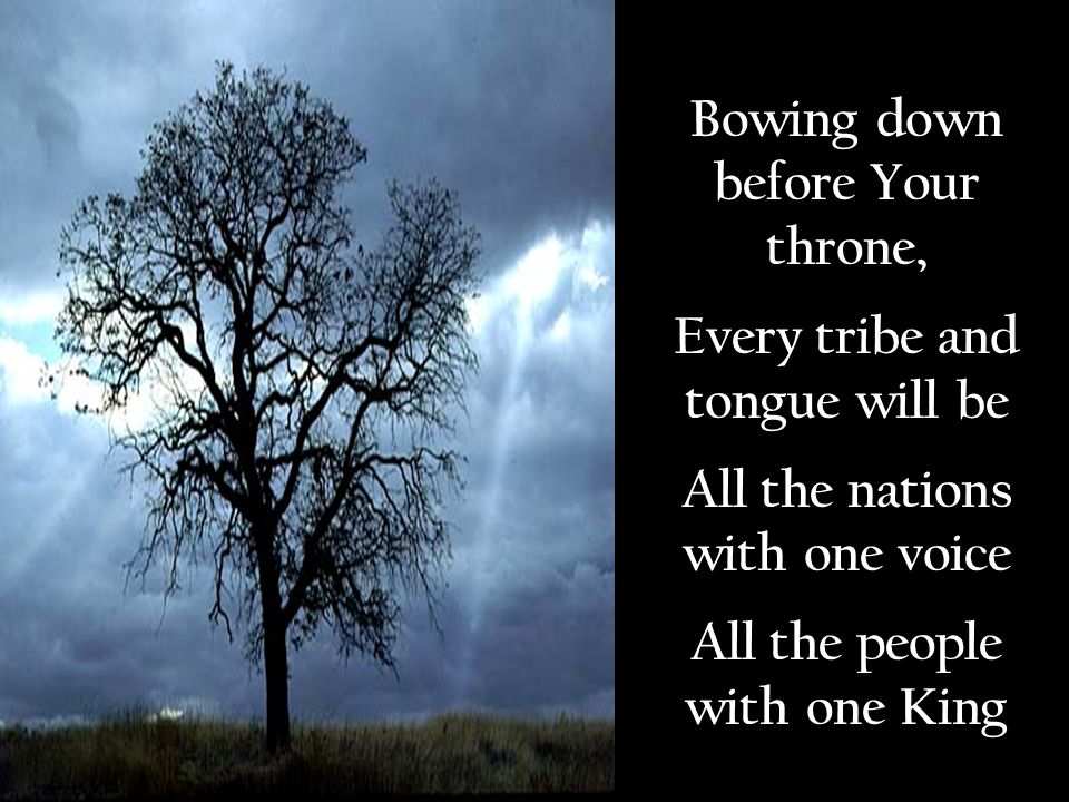 Bowing down before Your throne, Every tribe and tongue will be All the nations with one voice All the people with one King