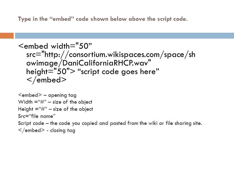 Type in the embed code shown below above the script code.