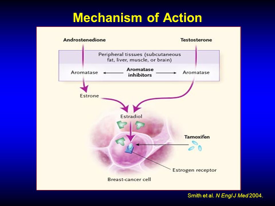 Mechanism of Action Smith et al. N Engl J Med 2004.