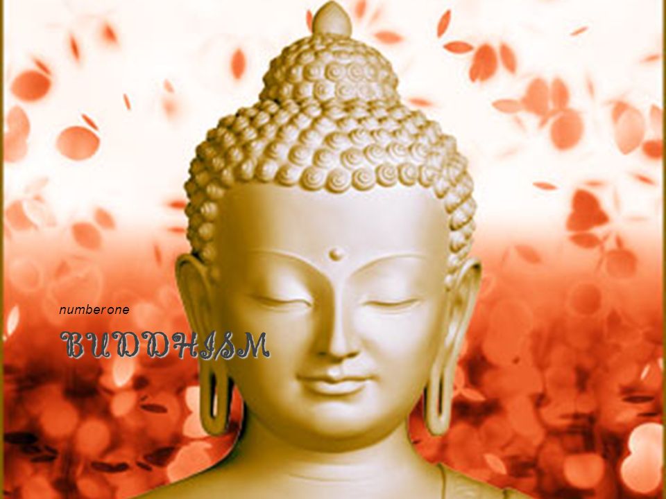comments on essay zoo in hindi