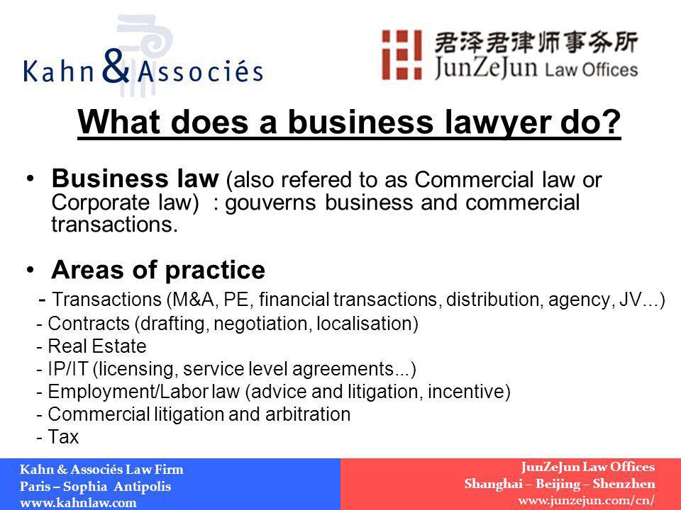 What does a business lawyer do.