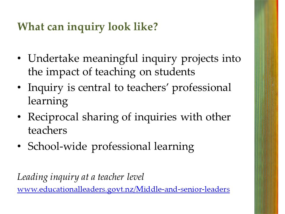 What can inquiry look like.