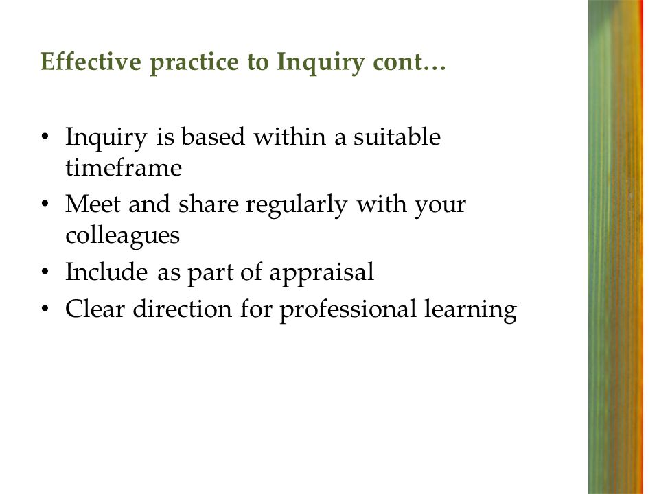 Inquiry is based within a suitable timeframe Meet and share regularly with your colleagues Include as part of appraisal Clear direction for professional learning Effective practice to Inquiry cont…