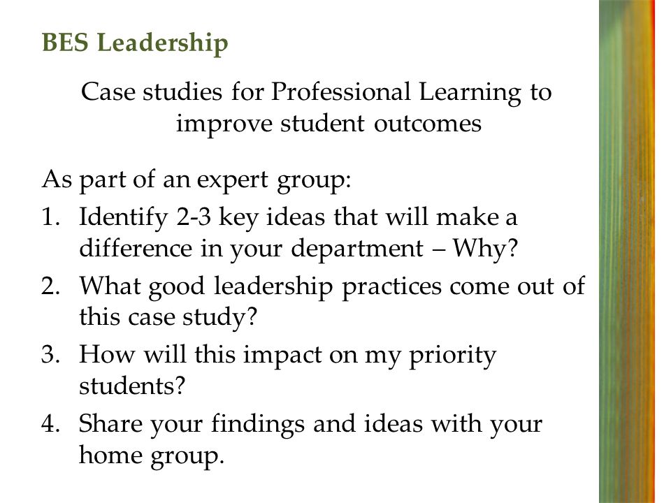 BES Leadership Case studies for Professional Learning to improve student outcomes As part of an expert group: 1.Identify 2-3 key ideas that will make a difference in your department – Why.