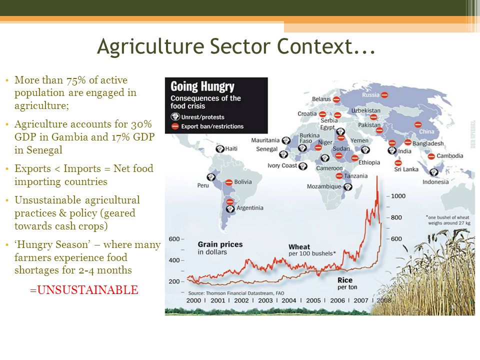Agriculture Sector Context...