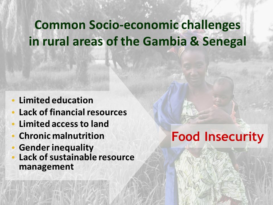 Food Insecurity Common Socio-economic challenges in rural areas of the Gambia & Senegal Limited education Lack of financial resources Limited access to land Chronic malnutrition Gender inequality Lack of sustainable resource management