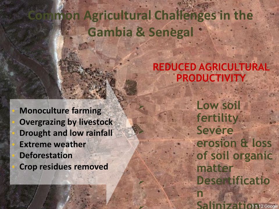 Low soil fertility Severe erosion & loss of soil organic matter Desertificatio n Salinization Vulnerability to climate change REDUCED AGRICULTURAL PRODUCTIVITY Common Agricultural Challenges in the Gambia & Senegal Monoculture farming Overgrazing by livestock Drought and low rainfall Extreme weather Deforestation Crop residues removed