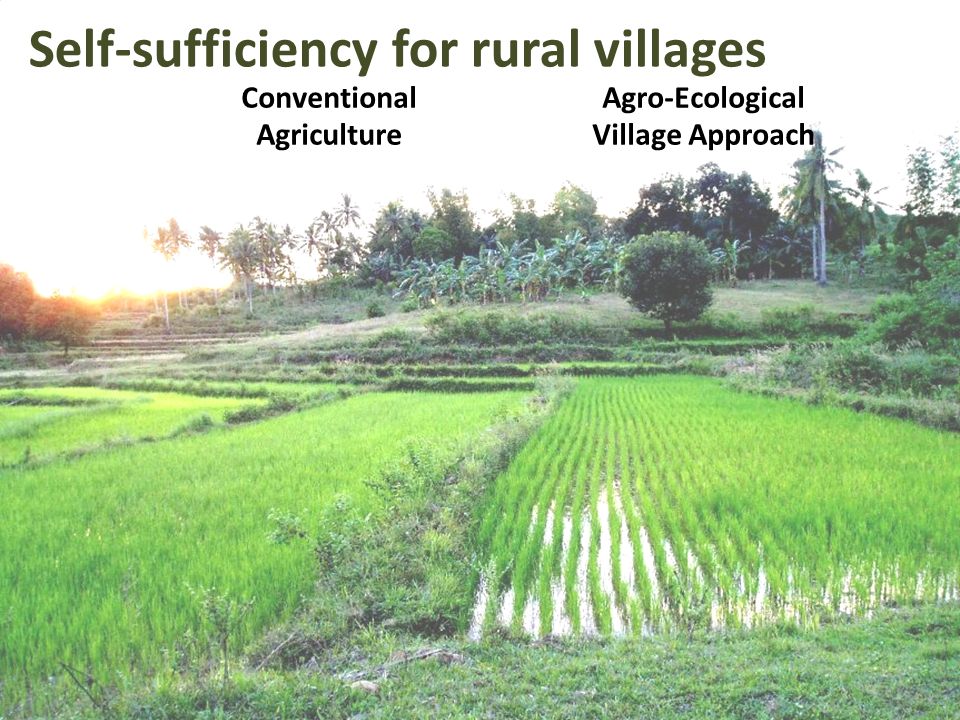 Self-sufficiency for rural villages Conventional Agriculture Agro-Ecological Village Approach