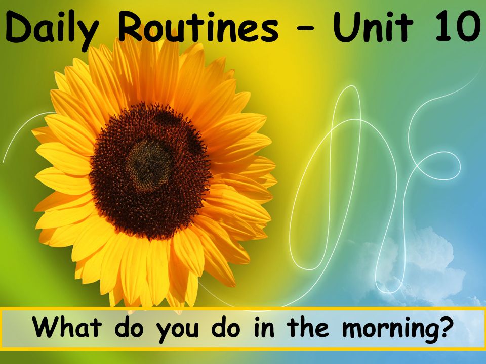 Daily Routines – Unit 10 What do you do in the morning