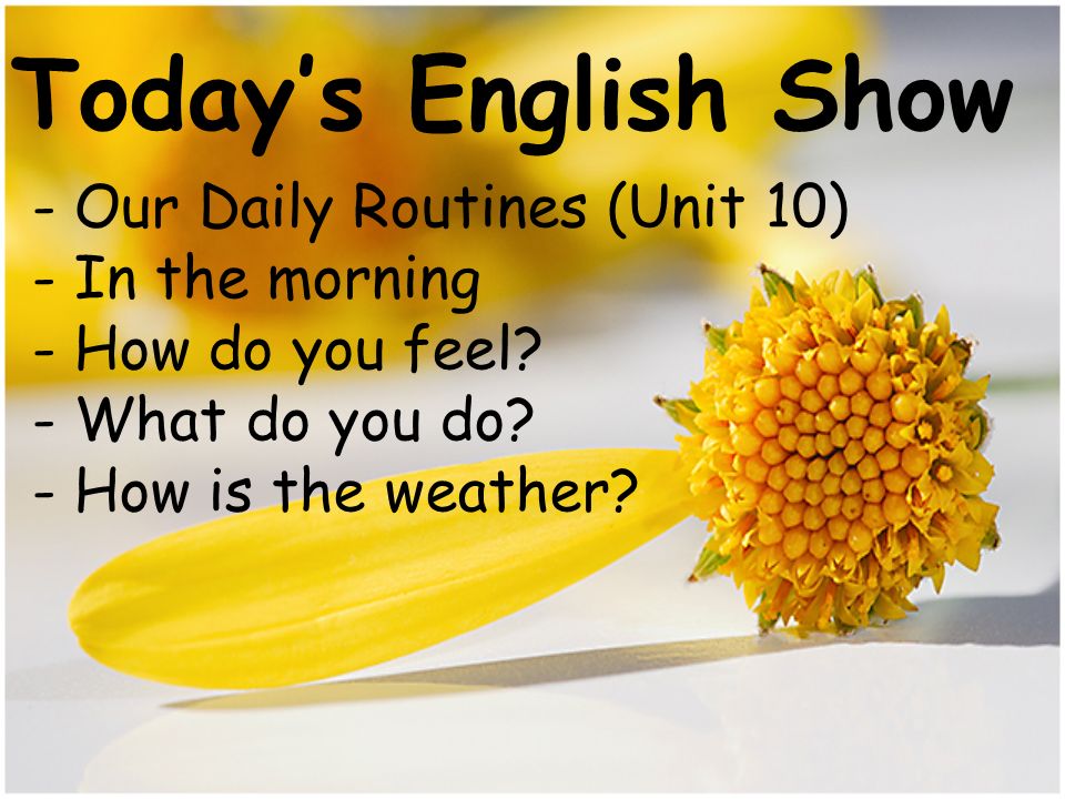 Todays English Show - Our Daily Routines (Unit 10) - In the morning - How do you feel.