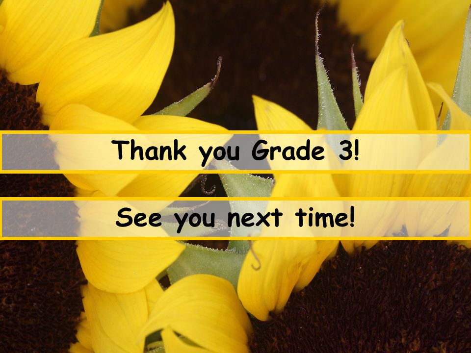 Thank you Grade 3! See you next time!