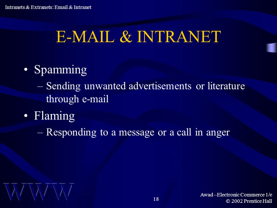 Awad –Electronic Commerce 1/e © 2002 Prentice Hall 18  & INTRANET Spamming –Sending unwanted advertisements or literature through  Flaming –Responding to a message or a call in anger Intranets & Extranets:  & Intranet