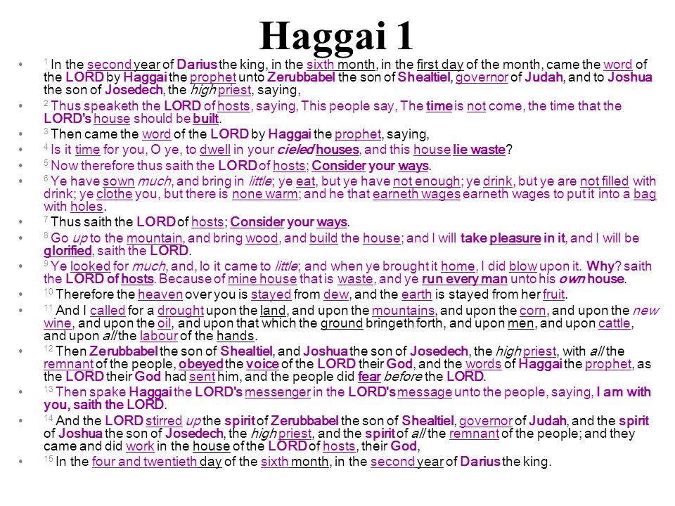 Haggai 1 1 In the second year of Darius the king, in the sixth month, in the first day of the month, came the word of the LORD by Haggai the prophet unto Zerubbabel the son of Shealtiel, governor of Judah, and to Joshua the son of Josedech, the high priest, saying, 2 Thus speaketh the LORD of hosts, saying, This people say, The time is not come, the time that the LORD s house should be built.
