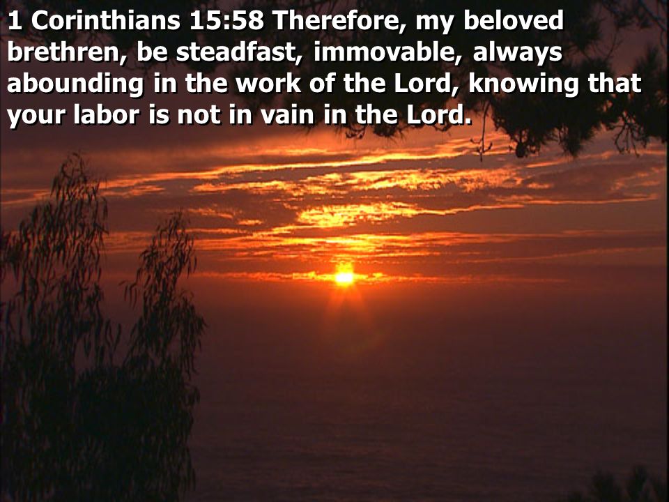 1 Corinthians 15:58 Therefore, my beloved brethren, be steadfast, immovable, always abounding in the work of the Lord, knowing that your labor is not in vain in the Lord.